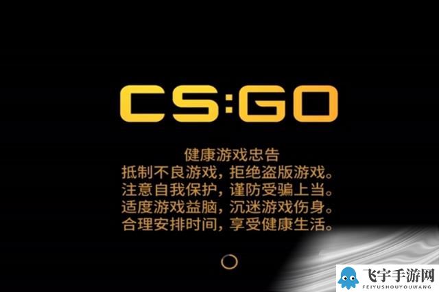 《CSGO》十周年胶囊奖励介绍