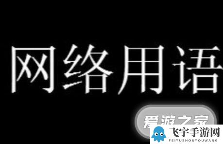 你是我用青春换来的累赘梗意思介绍