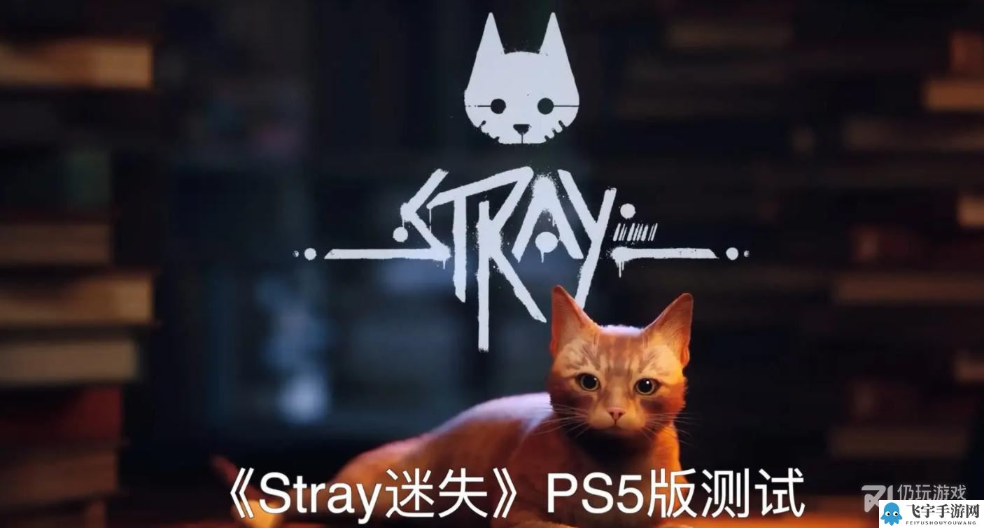 《迷失Stray》躲猫猫奖杯成就获得方法介绍